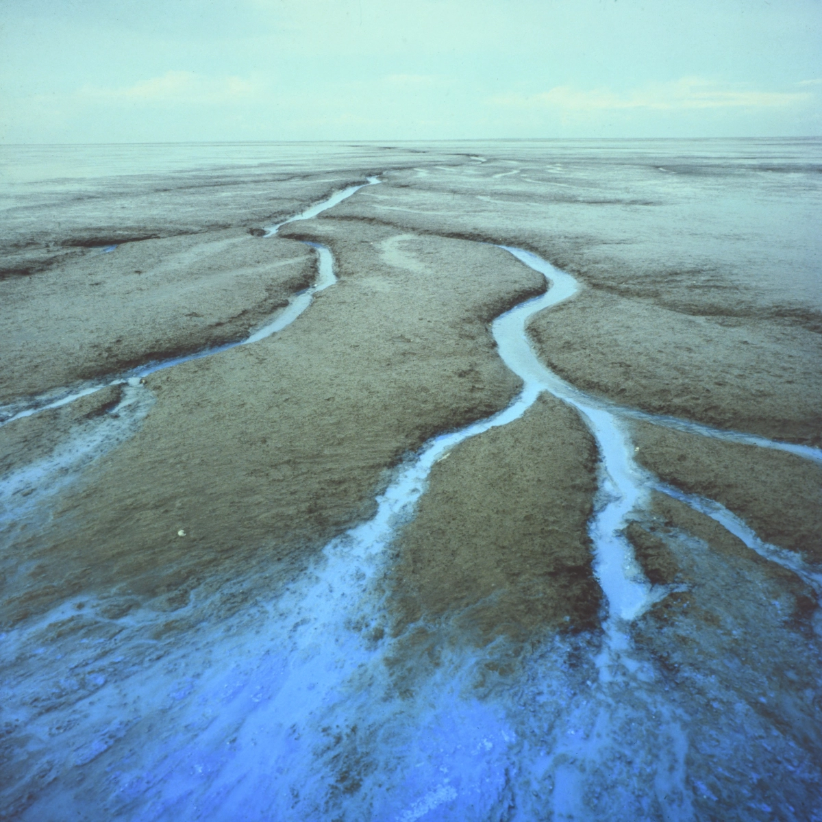 De Kleuren van het Wad